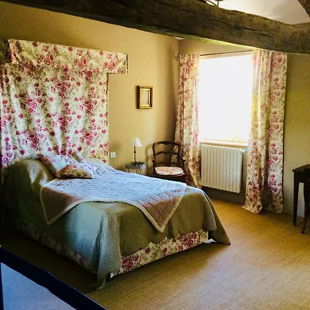 Spacieuse Avec Piscine Privee, A Salies, 250 M², 6 Chbres *